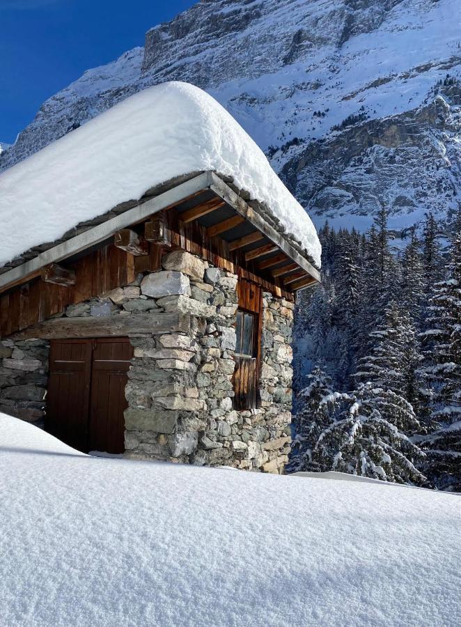 Hotel L'Edelweiss プラローニャン・ラ・ヴァノワーズ エクステリア 写真