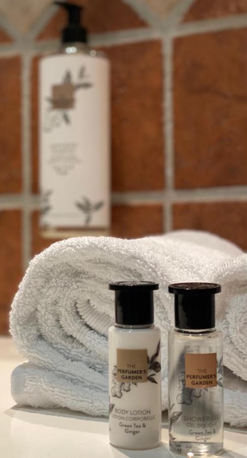 Hotel L'Edelweiss プラローニャン・ラ・ヴァノワーズ エクステリア 写真