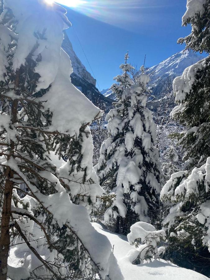 Hotel L'Edelweiss プラローニャン・ラ・ヴァノワーズ エクステリア 写真
