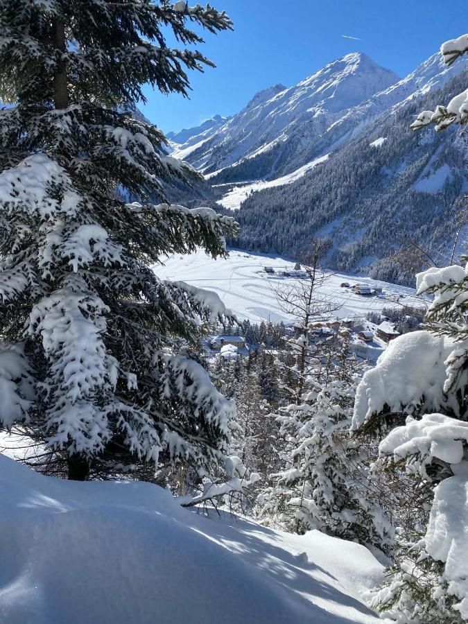 Hotel L'Edelweiss プラローニャン・ラ・ヴァノワーズ エクステリア 写真